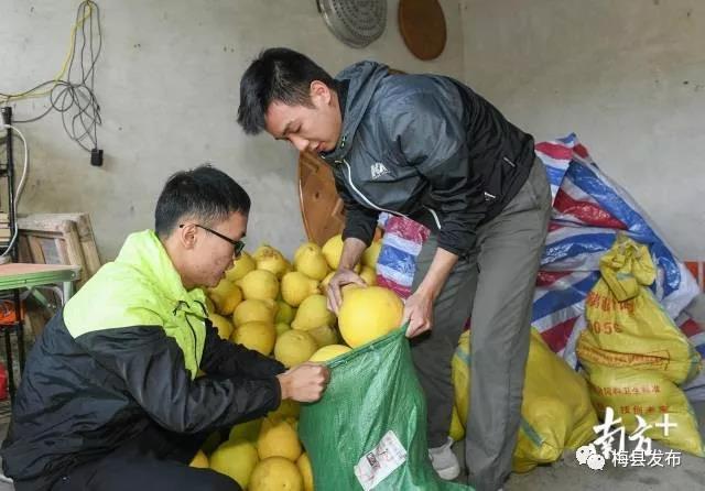 微信图片_20200110105209.jpg