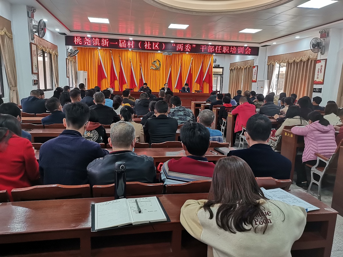 桃尧镇新一届村(社区)“两委”干部任职培训会.jpg