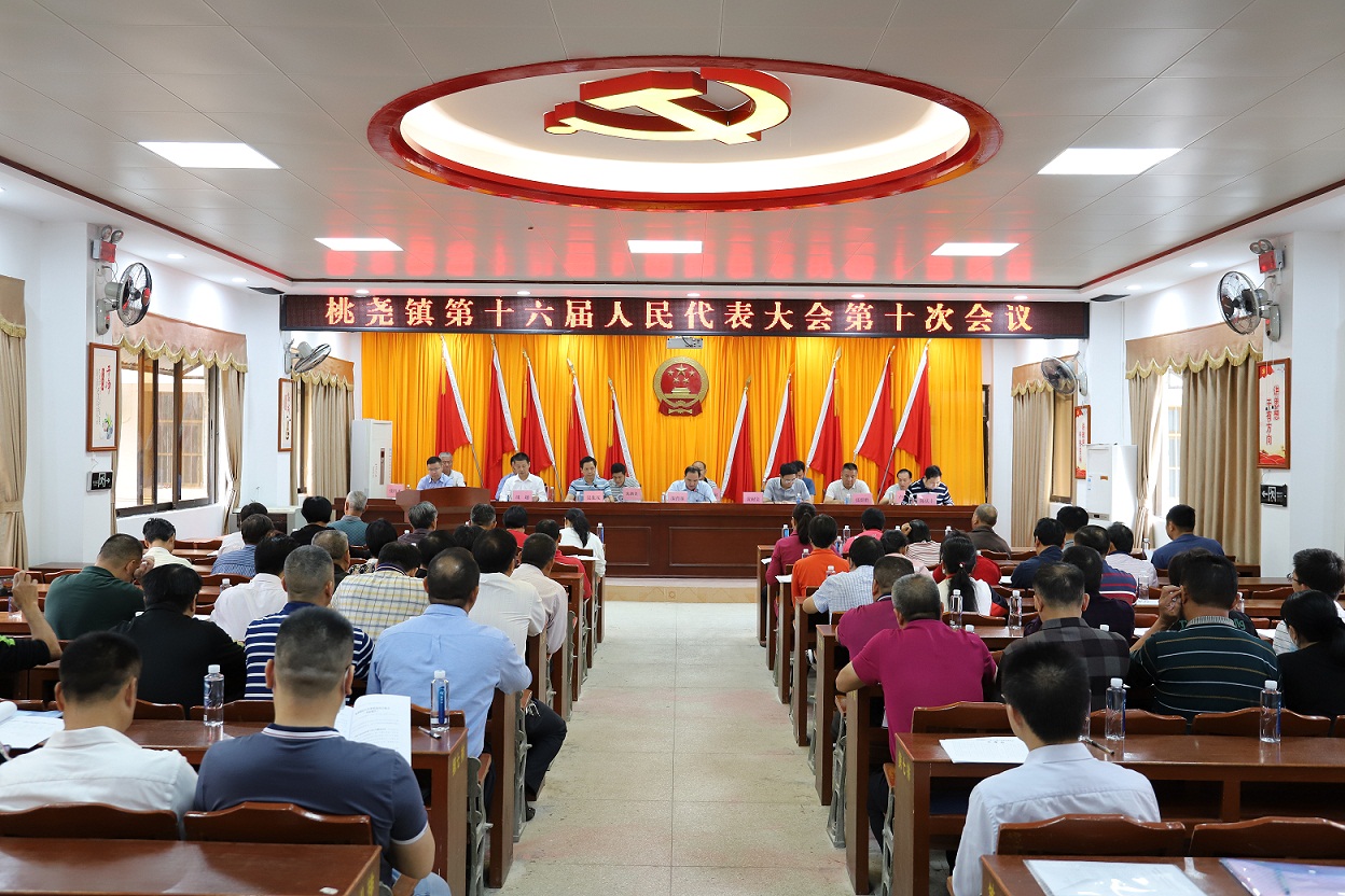 桃尧镇召开第十六届人民代表大会第十次会议.JPG