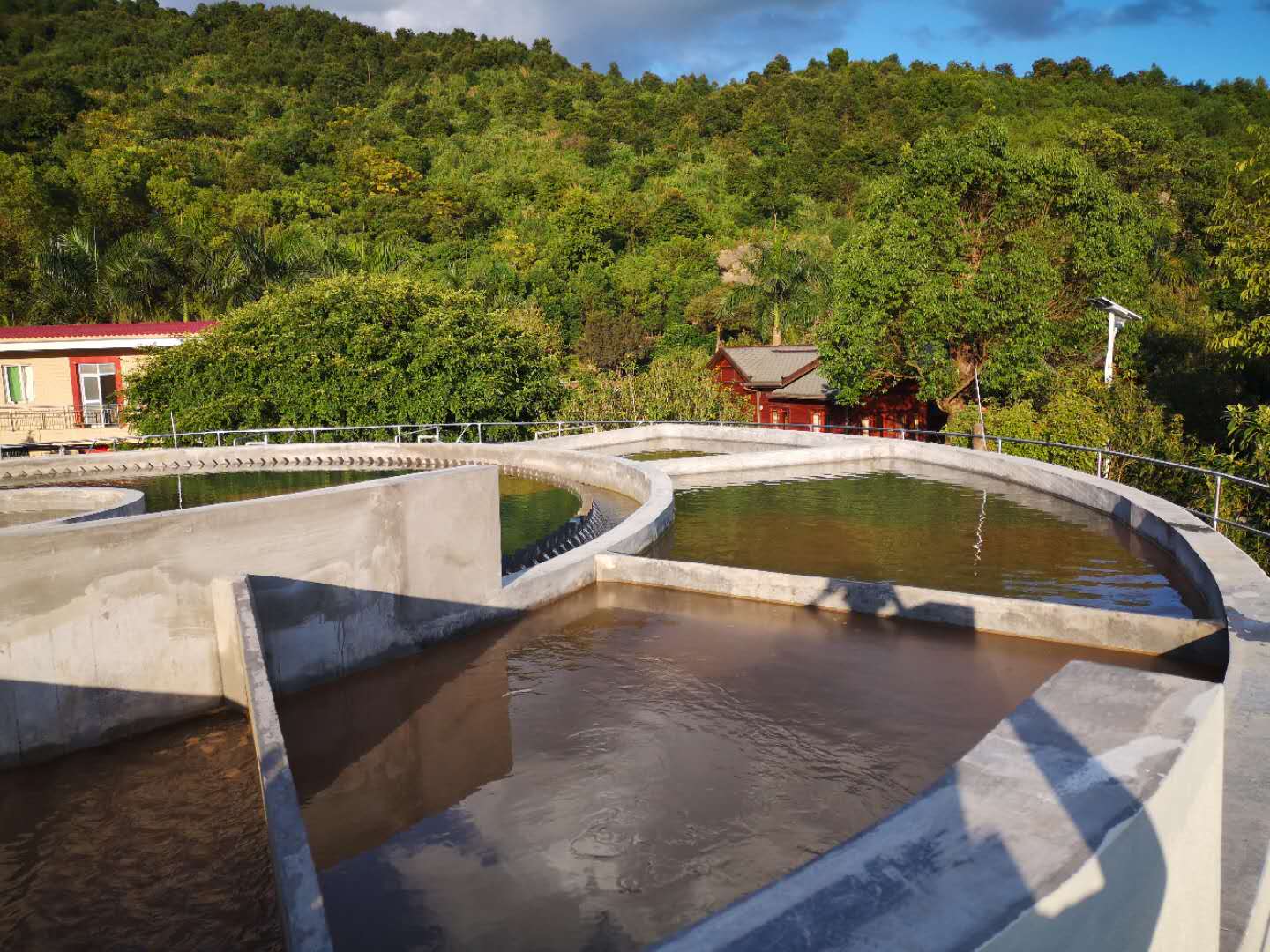 锦发自来水厂的一体化过滤池 锦发自来水厂的一体化过滤池