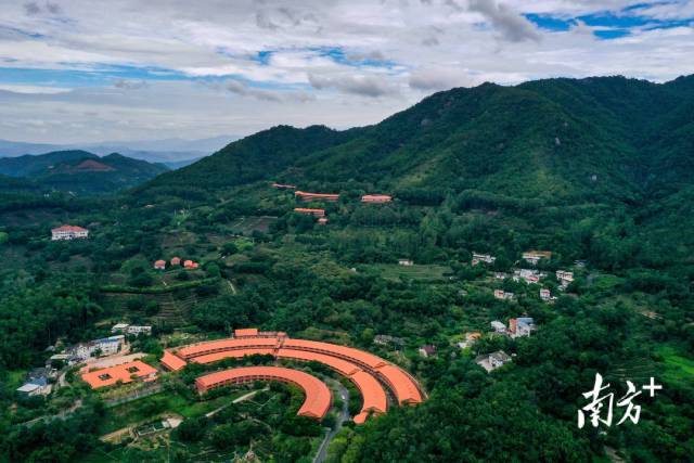 雁南飞茶田景区是目前梅州唯一的国家5A级旅游景区。何森垚 摄 南方+ 何森垚 拍摄