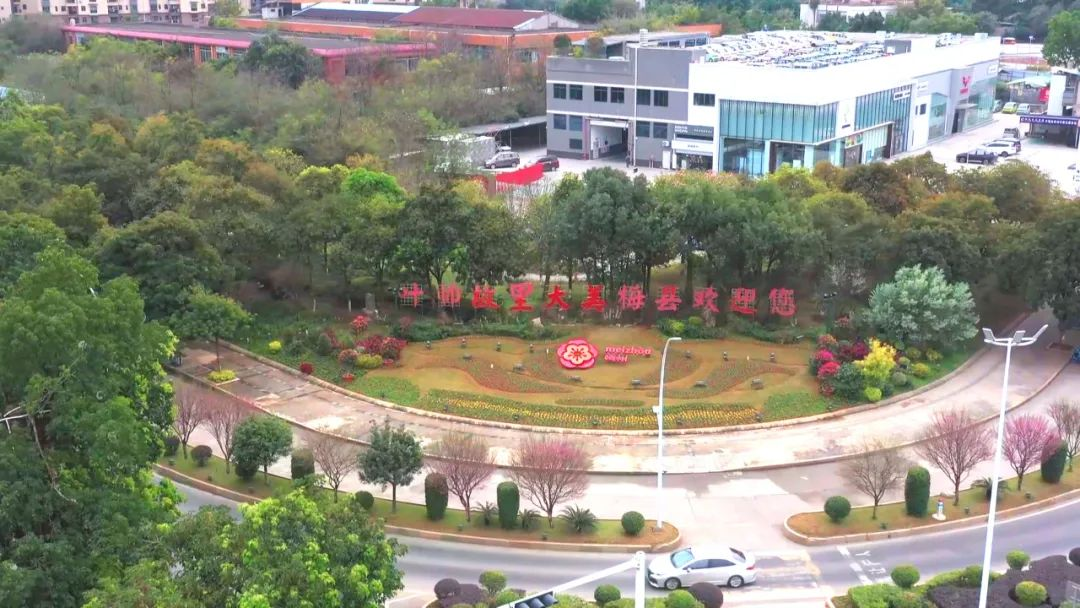 图片 5.png