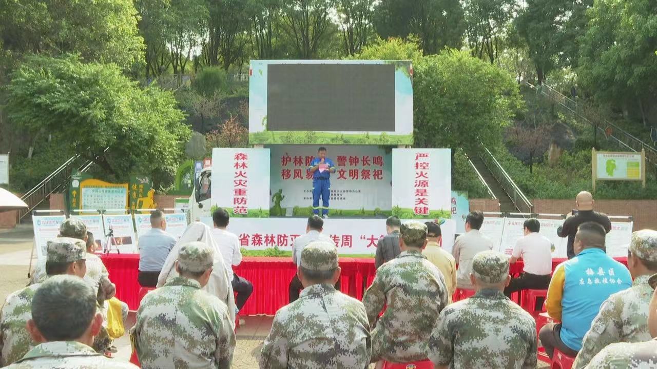 00166dd1-aef1-4d05-b70c-2a33b036e7f7.jpg