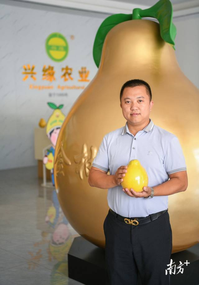 石扇镇建新村“产业村长”林绿。