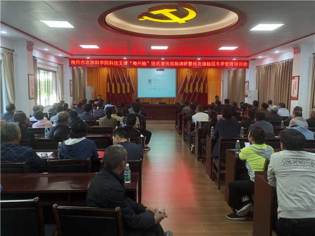 召开会议.jpg