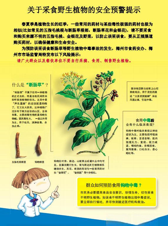 关于采食野生植物的安全预警提示.png