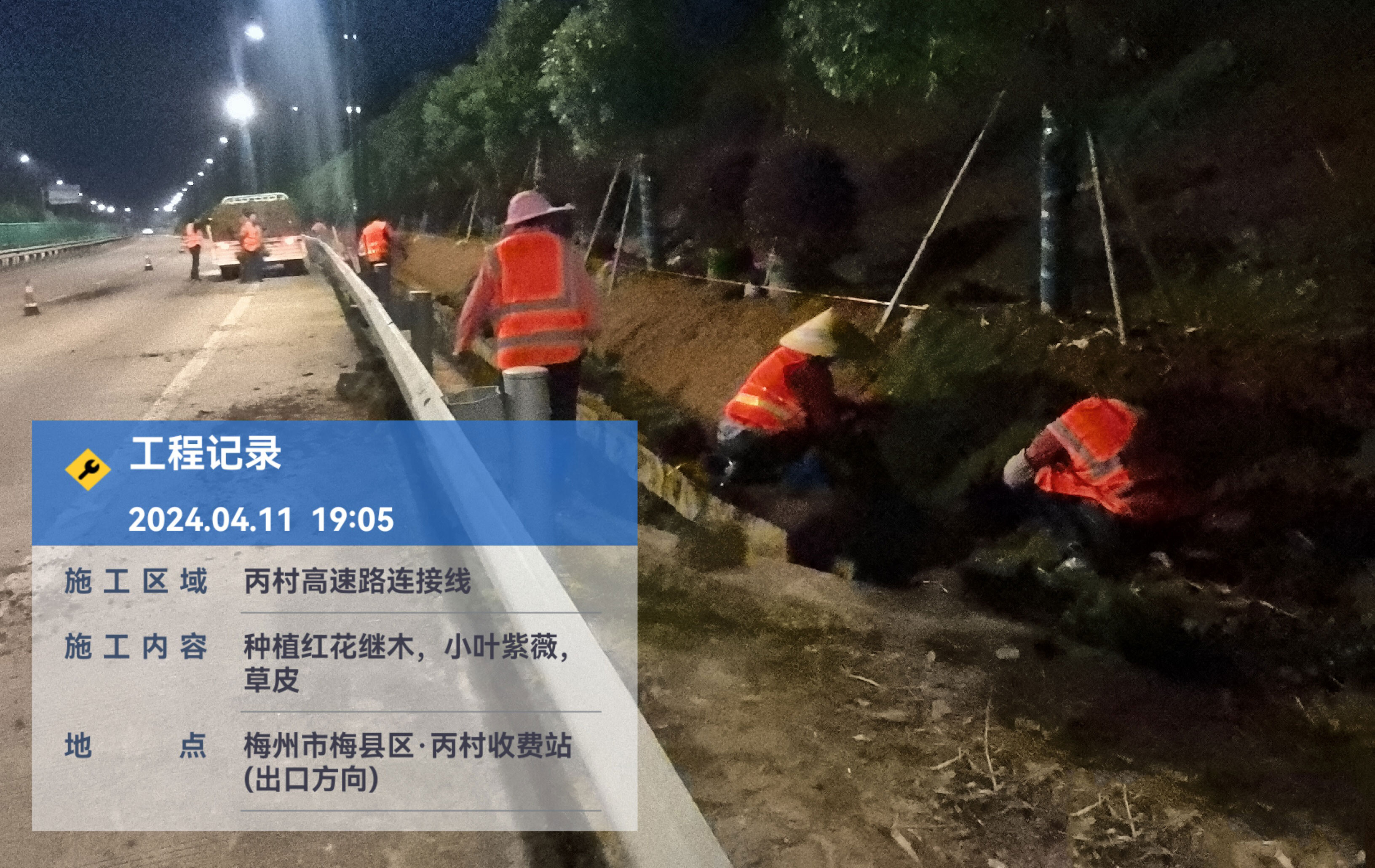 把握绿化时机 书写“绿美答卷”(简报).doc_1