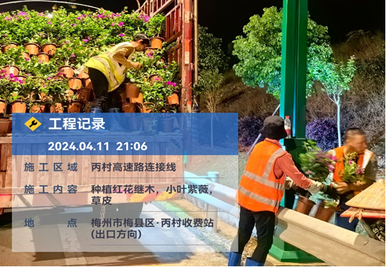 把握绿化时机 书写“绿美答卷”(简报).doc_2