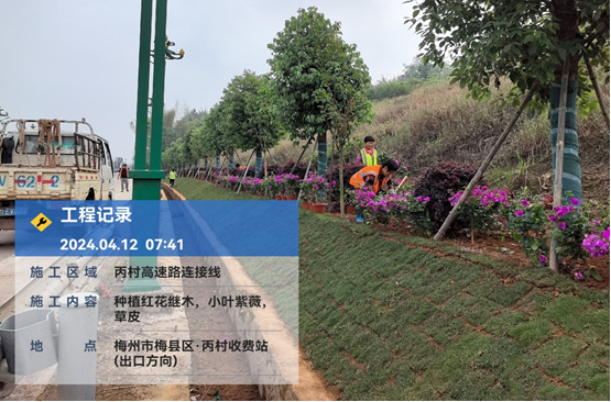 把握绿化时机 书写“绿美答卷”(简报).doc_3
