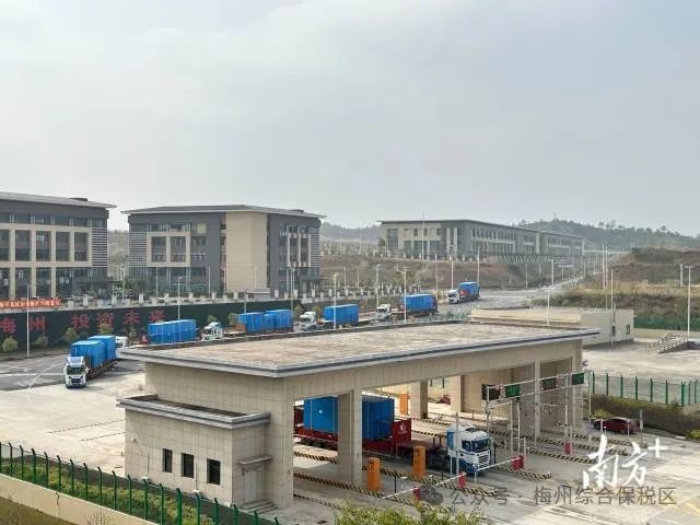 2024年是国际陆港正式运营的第一年,“区港联动”“海铁联运”效应逐步释放。 图片