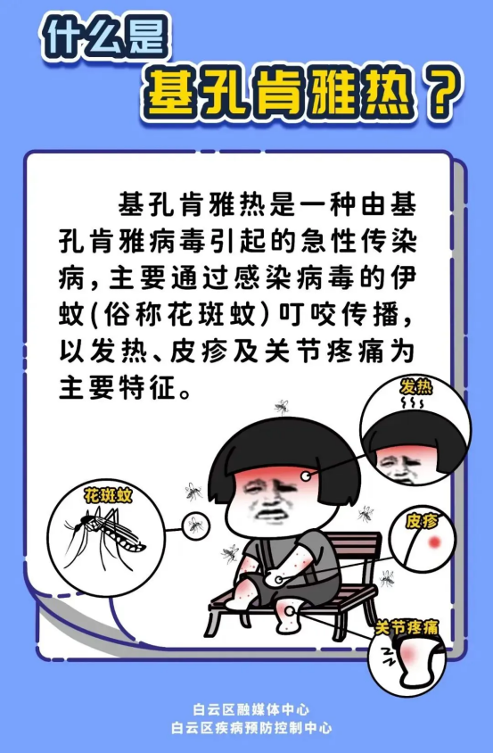 1.什么是基孔肯雅热.png