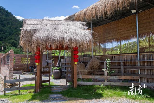 水美村在保护好红色遗迹的同时，发展红军客栈、“共享厨房”、“窑鸡体验馆”等休闲旅游新业态。南方日报记者 刘明心 摄&nbsp;