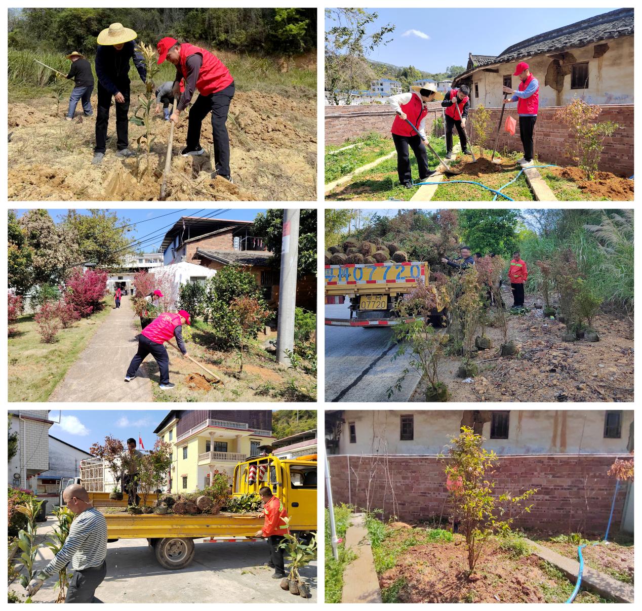 千干联千户  共建绿美家（简讯）.docx_1