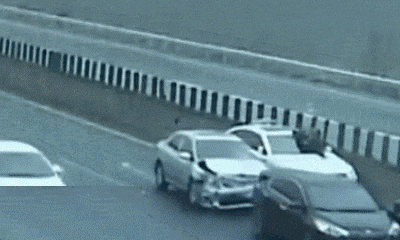 e45923d6c6c41df2e93d.gif