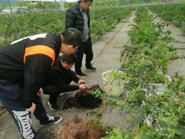 微信图片_20250403153932.png