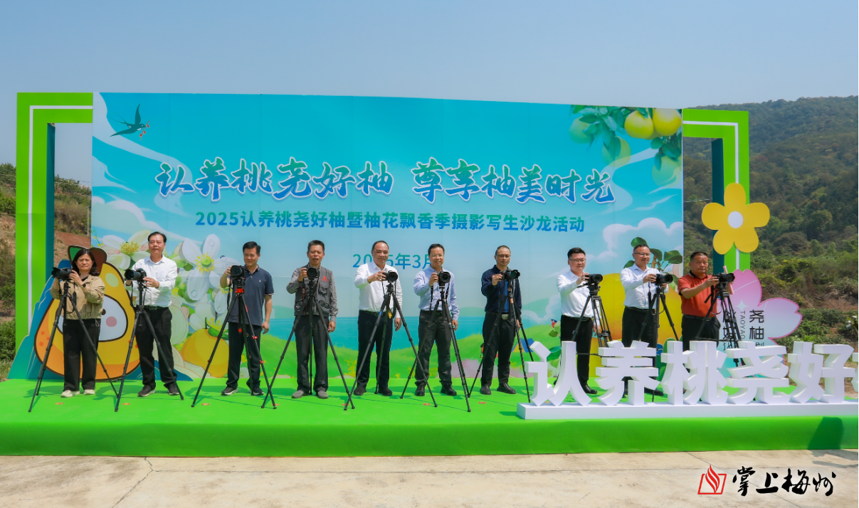 好柚计划1.png