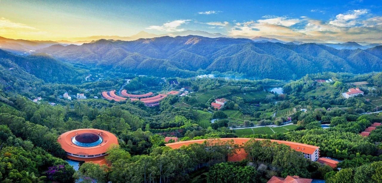 雁洋镇:政府景区联动发力,雁南飞通过国家5a级旅游
