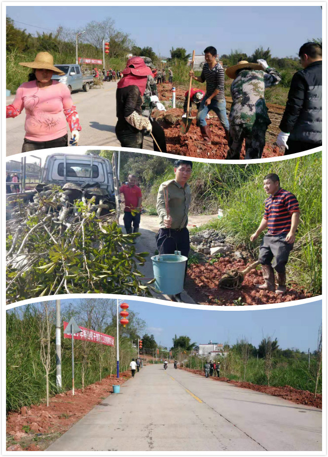 义务植树2.jpg