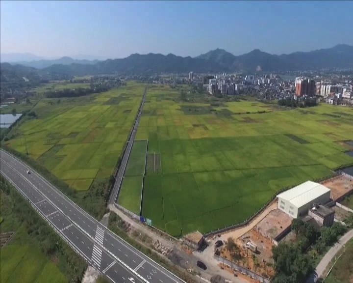 贯彻落实区委一届五次全会精神丙村镇聚焦特色文化旅游建设生态富民强